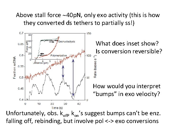 Above stall force ~40 p. N, only exo activity (this is how they converted