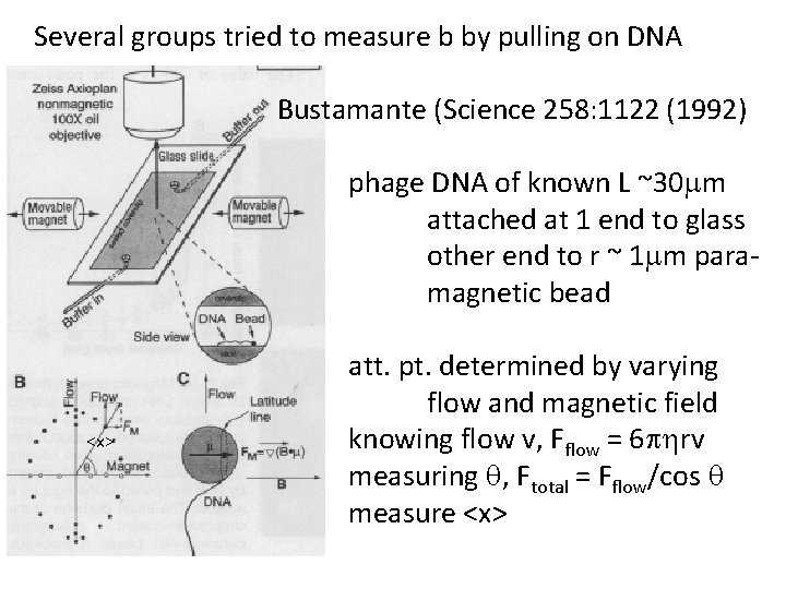 Several groups tried to measure b by pulling on DNA Bustamante (Science 258: 1122