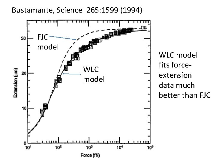 Bustamante, Science 265: 1599 (1994) FJC model WLC model fits forceextension data much better