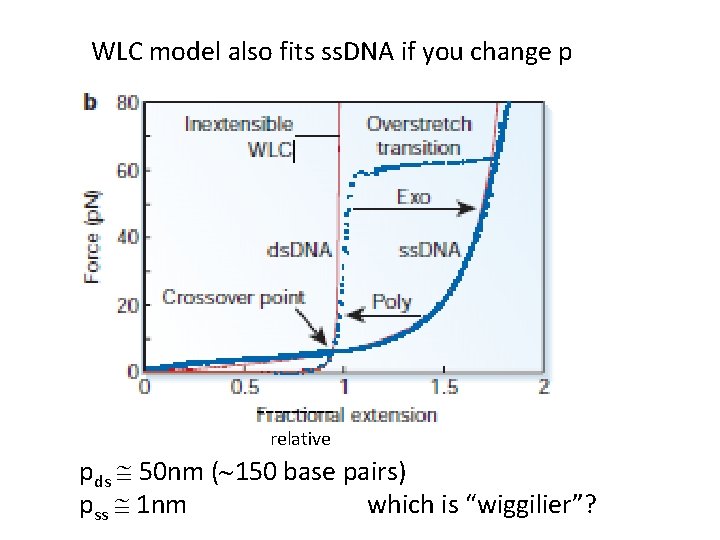 WLC model also fits ss. DNA if you change p ----relative pds @ 50