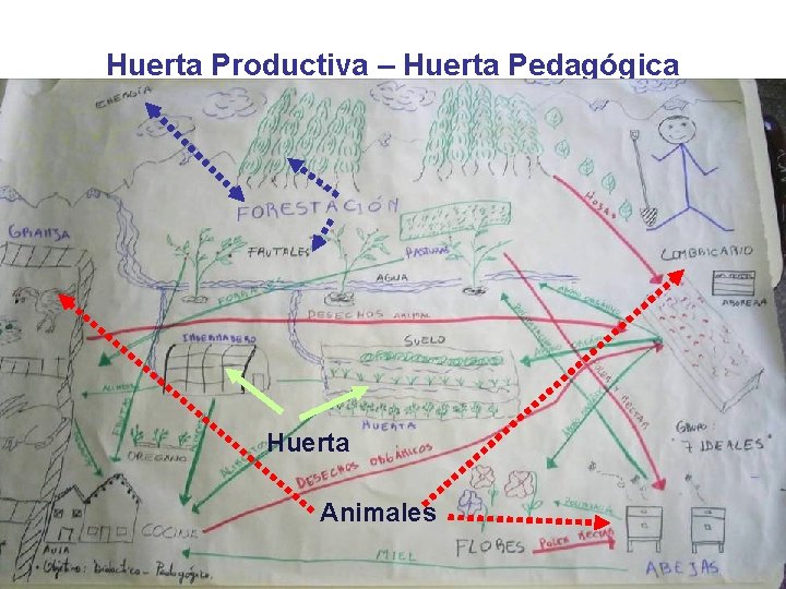 Huerta Productiva – Huerta Pedagógica Huerta Animales 