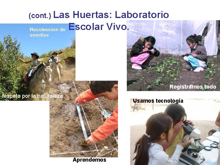 (cont. ) Las Huertas: Laboratorio Escolar Vivo. Registramos todo respeto por la naturaleza Usamos