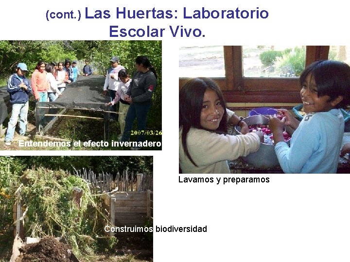 (cont. ) Las Huertas: Laboratorio Escolar Vivo. Entendemos el efecto invernadero Lavamos y preparamos