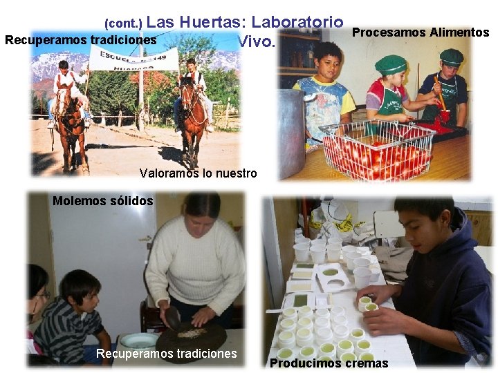 (cont. ) Las Huertas: Laboratorio Procesamos Alimentos Recuperamos tradiciones Escolar Vivo. Valoramos lo nuestro