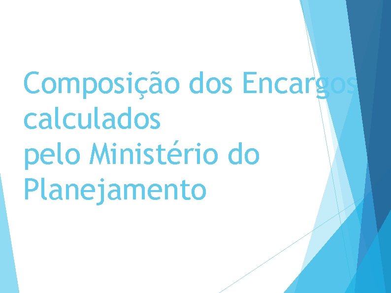 Composição dos Encargos calculados pelo Ministério do Planejamento 