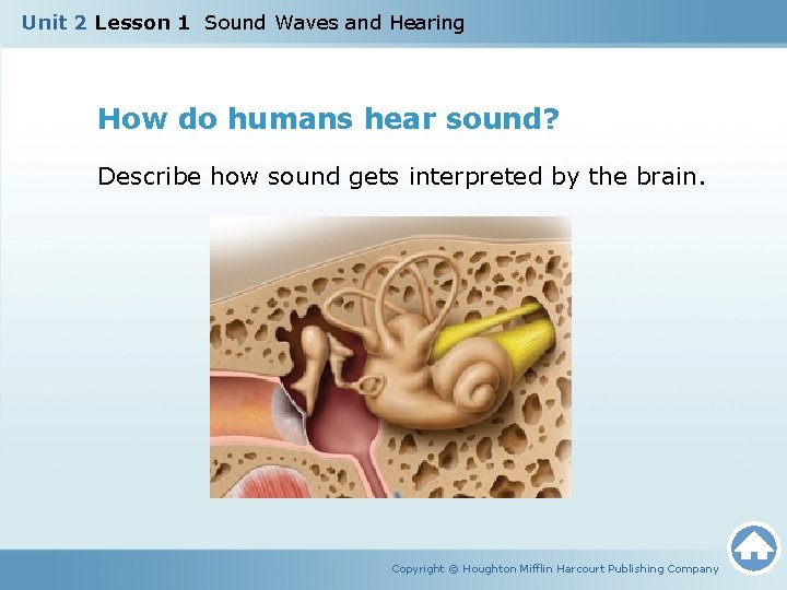 Unit 2 Lesson 1 Sound Waves and Hearing How do humans hear sound? Describe