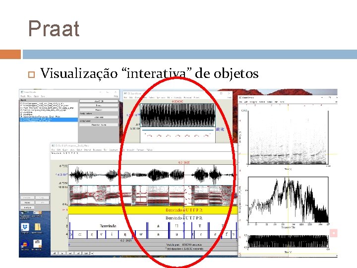 Praat Visualização “interativa” de objetos 