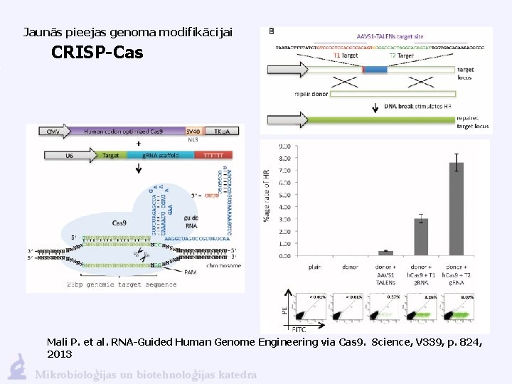 Jaunās pieejas genoma modifikācijai CRISP-Cas Mali P. et al. RNA-Guided Human Genome Engineering via