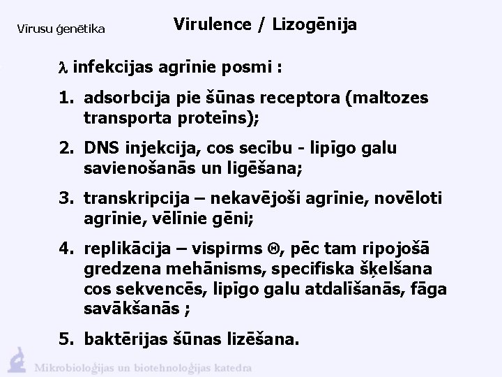 Vīrusu ģenētika Virulence / Lizogēnija l infekcijas agrīnie posmi : 1. adsorbcija pie šūnas