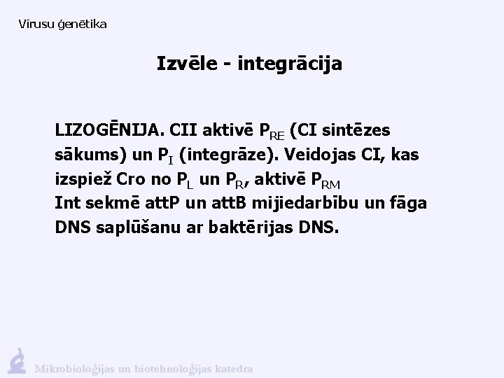 Vīrusu ģenētika Izvēle - integrācija LIZOGĒNIJA. CII aktivē PRE (CI sintēzes sākums) un PI