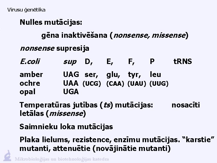 Vīrusu ģenētika Nulles mutācijas: gēna inaktivēšana (nonsense, missense) nonsense supresija E. coli sup amber