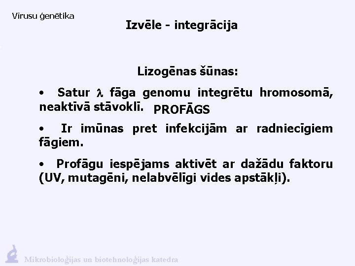 Vīrusu ģenētika Izvēle - integrācija Lizogēnas šūnas: • Satur l fāga genomu integrētu hromosomā,