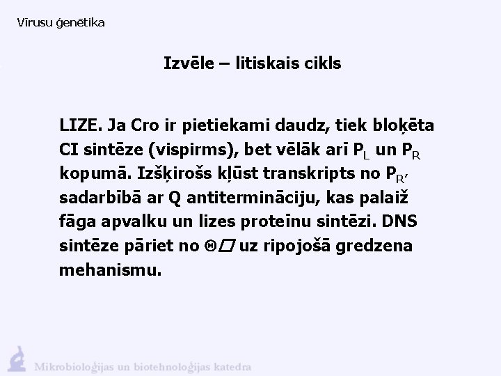 Vīrusu ģenētika Izvēle – litiskais cikls LIZE. Ja Cro ir pietiekami daudz, tiek bloķēta