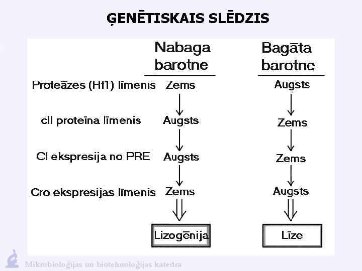 ĢENĒTISKAIS SLĒDZIS 