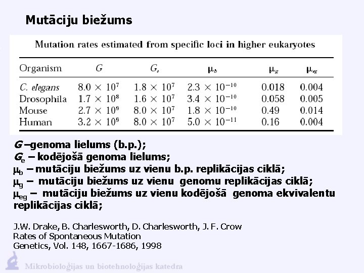 Mutāciju biežums G –genoma lielums (b. p. ); Ge – kodējošā genoma lielums; mb