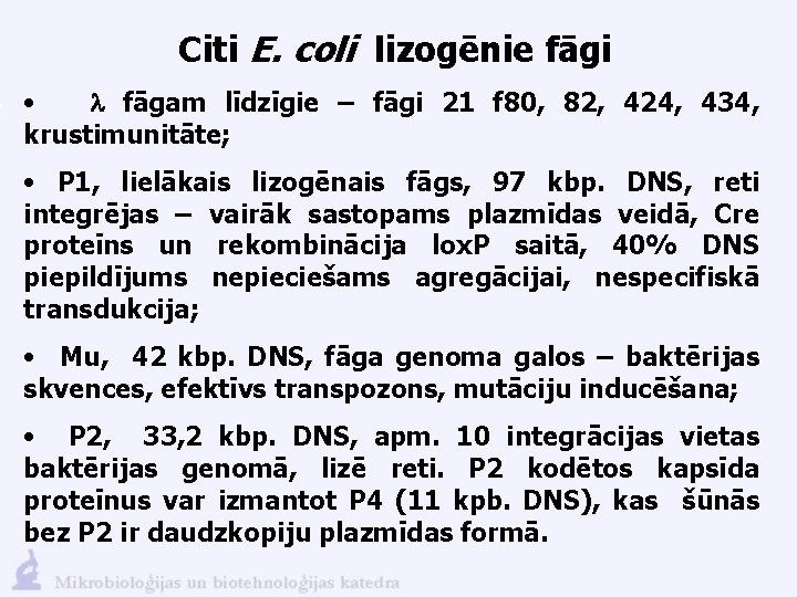 Citi E. coli lizogēnie fāgi • l fāgam līdzīgie – fāgi 21 f 80,