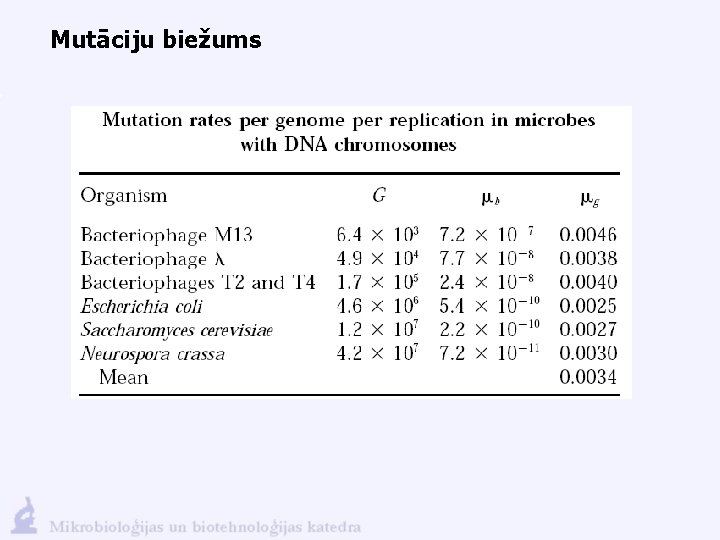 Mutāciju biežums 