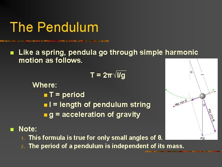 The Pendulum n Like a spring, pendula go through simple harmonic motion as follows.