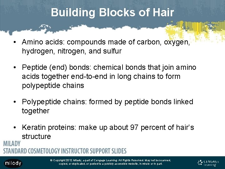 Building Blocks of Hair • Amino acids: compounds made of carbon, oxygen, hydrogen, nitrogen,
