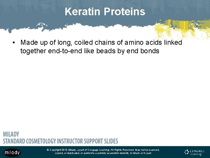 Keratin Proteins • Made up of long, coiled chains of amino acids linked together