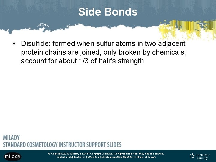 Side Bonds • Disulfide: formed when sulfur atoms in two adjacent protein chains are