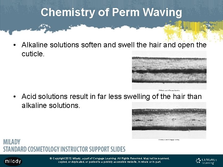 Chemistry of Perm Waving • Alkaline solutions soften and swell the hair and open
