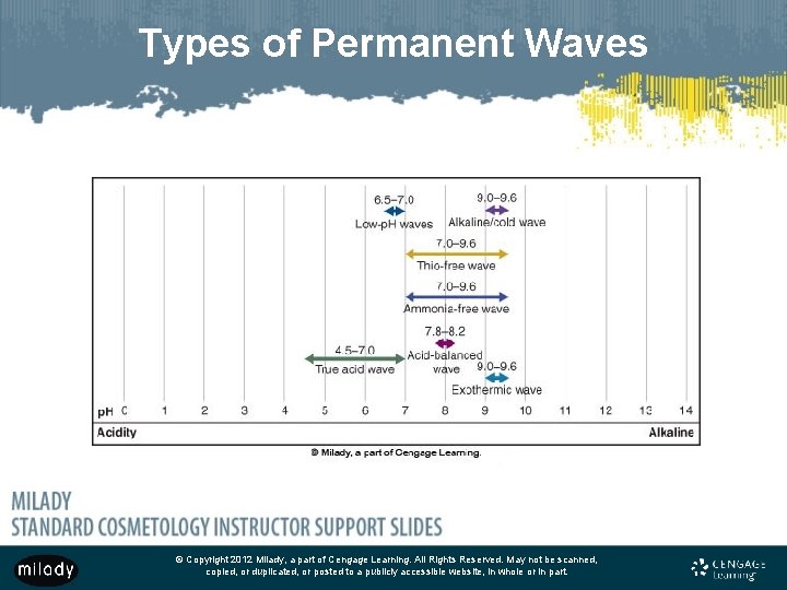 Types of Permanent Waves © Copyright 2012 Milady, a part of Cengage Learning. All