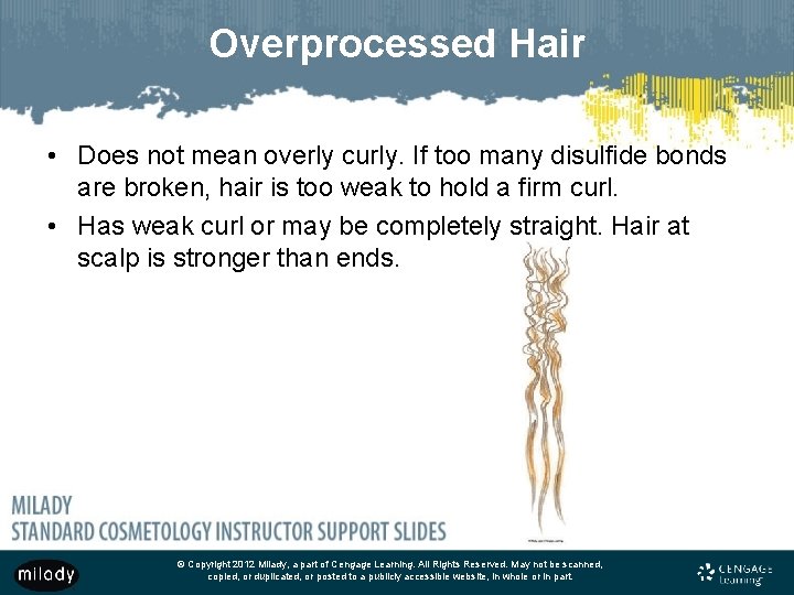 Overprocessed Hair • Does not mean overly curly. If too many disulfide bonds are