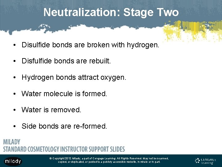 Neutralization: Stage Two • Disulfide bonds are broken with hydrogen. • Disfulfide bonds are