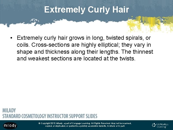 Extremely Curly Hair • Extremely curly hair grows in long, twisted spirals, or coils.