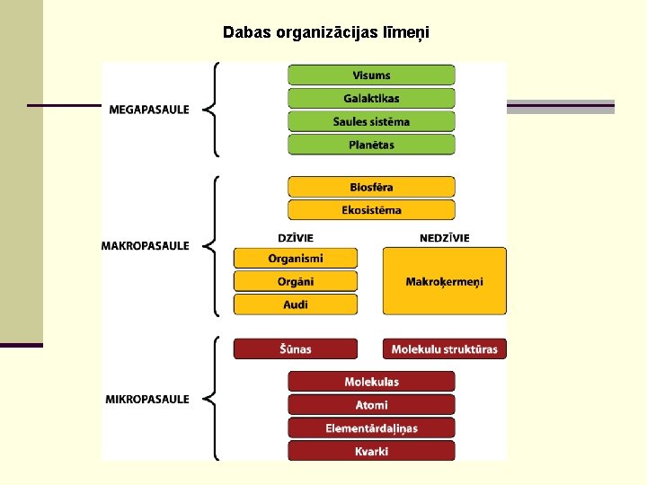 Dabas organizācijas līmeņi 