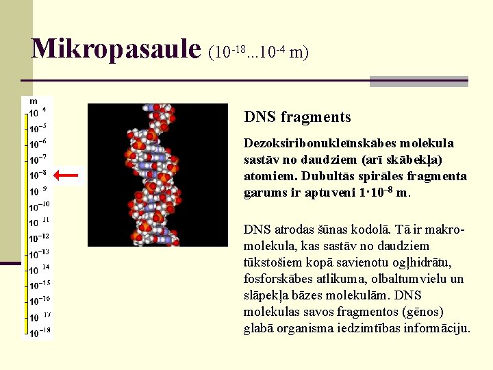 Mikropasaule (10 -18. . . 10 -4 m) DNS fragments Dezoksiribonukleīnskābes molekula sastāv no