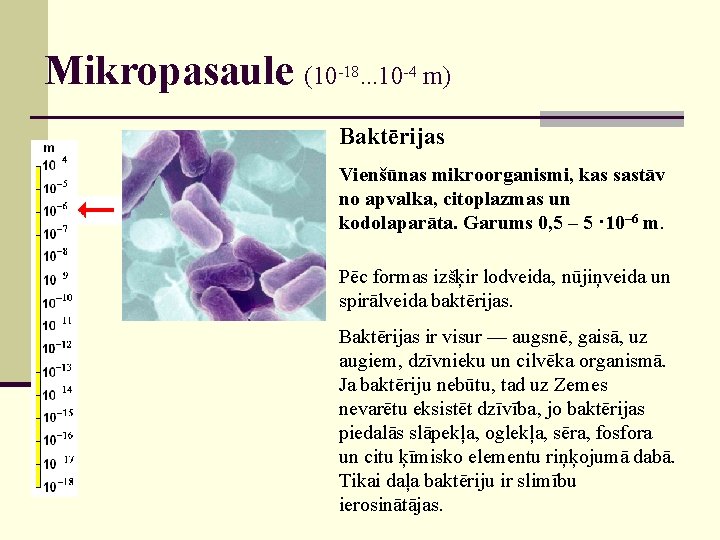 Mikropasaule (10 -18. . . 10 -4 m) Baktērijas Vienšūnas mikroorganismi, kas sastāv no