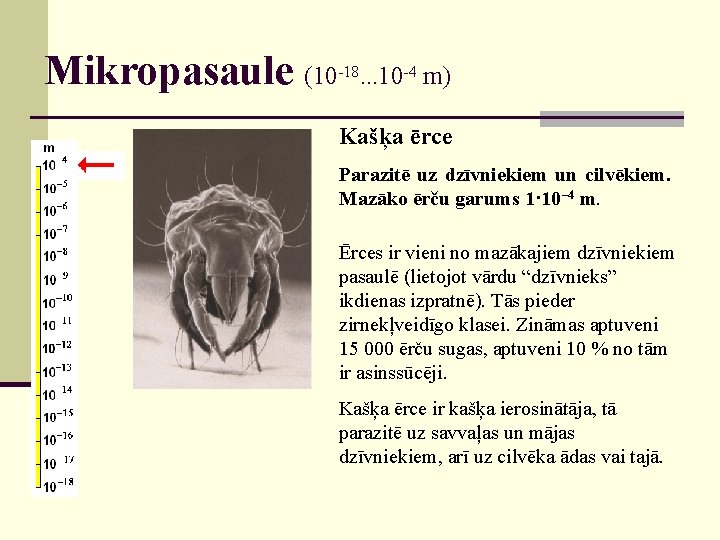 Mikropasaule (10 -18. . . 10 -4 m) Kašķa ērce Parazitē uz dzīvniekiem un