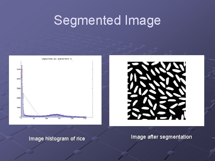 Segmented Image histogram of rice Image after segmentation 