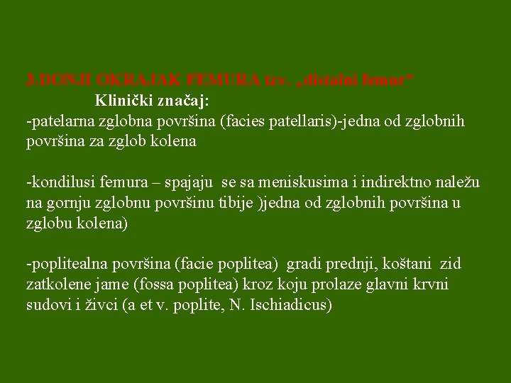 3. DONJI OKRAJAK FEMURA tzv. „distalni femur“ Klinički značaj: -patelarna zglobna površina (facies patellaris)-jedna