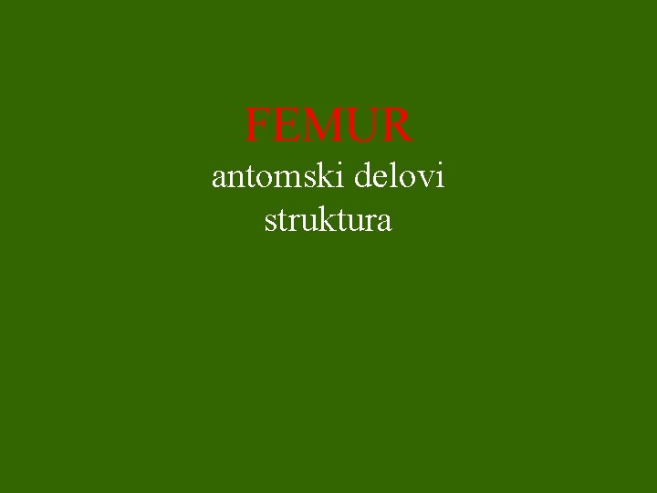 FEMUR antomski delovi struktura 