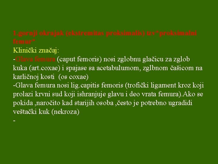 1. gornji okrajak (ekstremitas proksimalis) tzv“proksimalni femur“ Klinički značaj: -Glava femura (caput femoris) nosi