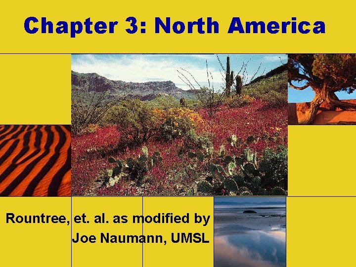 Chapter 3: North America Rountree, et. al. as modified by Joe Naumann, UMSL 