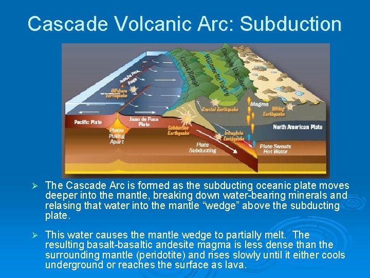 Cascade Volcanic Arc: Subduction Ø The Cascade Arc is formed as the subducting oceanic