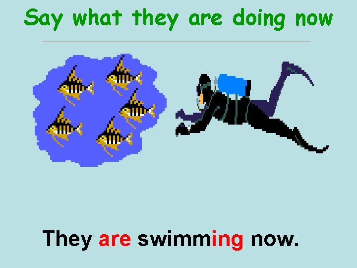 Say what they are doing now They are swimming now. 