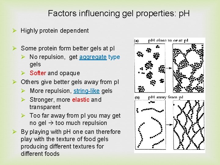 Factors influencing gel properties: p. H Ø Highly protein dependent Ø Some protein form