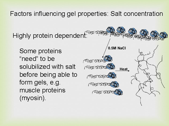 Factors influencing gel properties: Salt concentration Highly protein dependent: Some proteins “need” to be