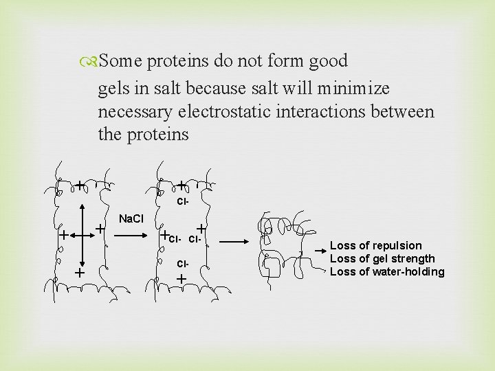  Some proteins do not form good gels in salt because salt will minimize