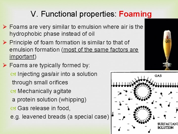Lecture 4 Functional properties of proteins The properties