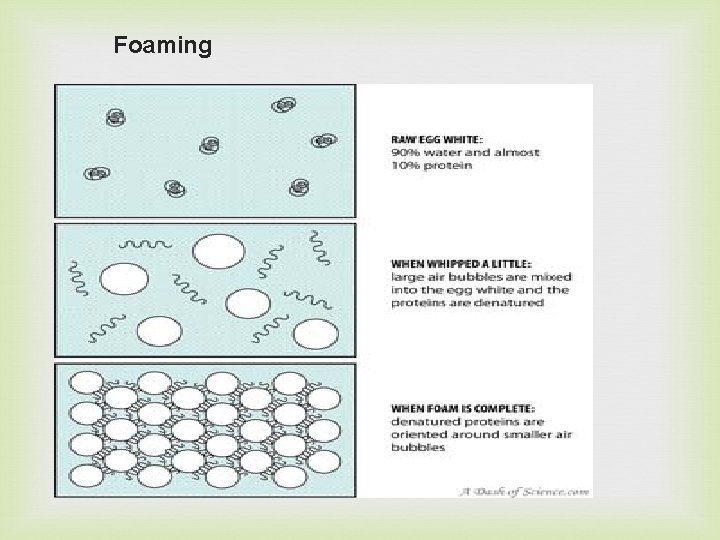 Foaming 