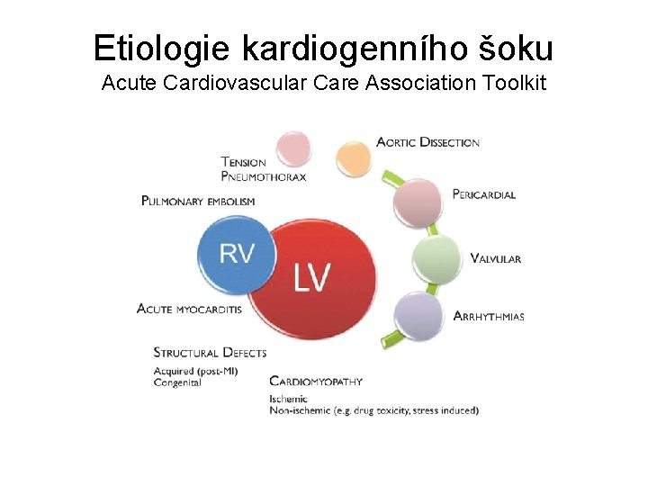 Etiologie kardiogenního šoku Acute Cardiovascular Care Association Toolkit 