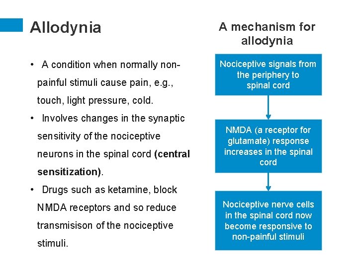 Allodynia A mechanism for allodynia • A condition when normally non- Nociceptive signals from