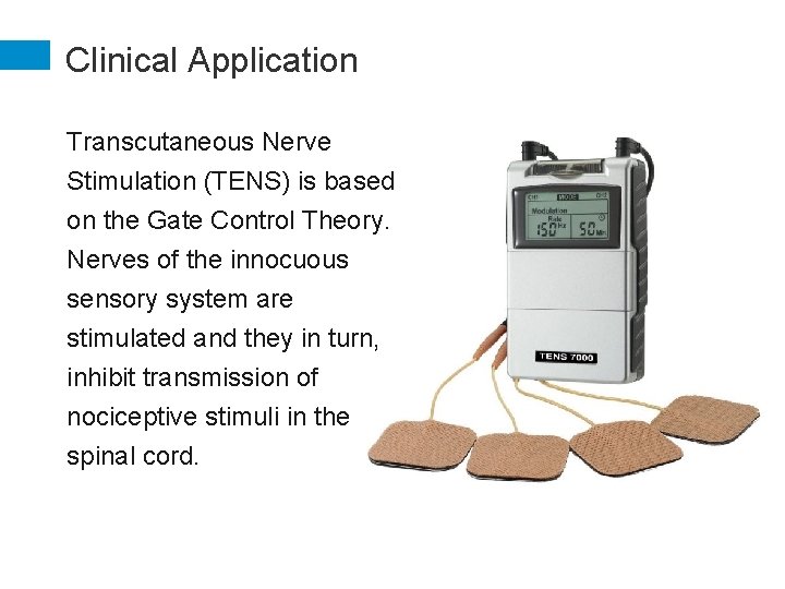 Clinical Application Transcutaneous Nerve Stimulation (TENS) is based on the Gate Control Theory. Nerves