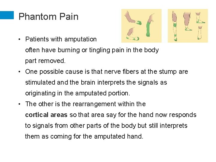 Phantom Pain • Patients with amputation often have burning or tingling pain in the